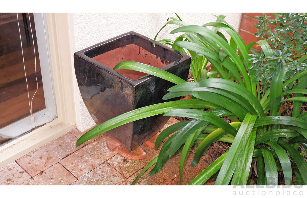 Pair of Black Glazed Tapered Square Planters