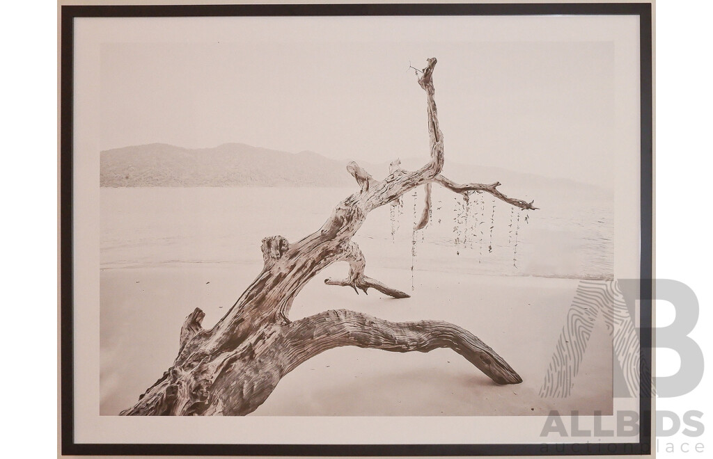 Framed Contemporary Photographic Print of Tree and Beach Setting