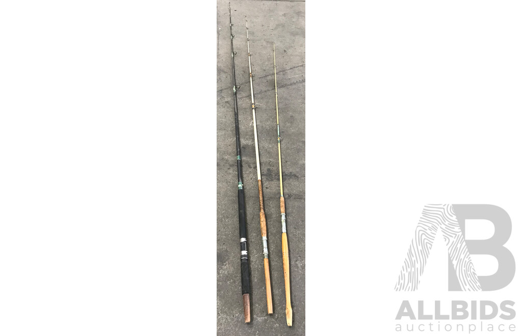 Assorted Long Fishing Rods - Lot of 3