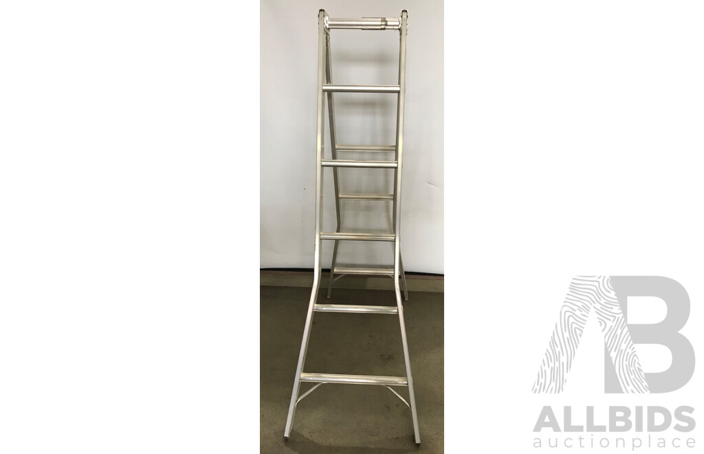 Duo 6D 1.8m Step Ladder