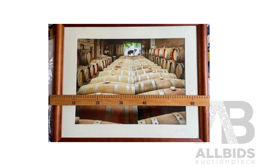 Framed Photograph - Collie on Casks by Irene Dowdy