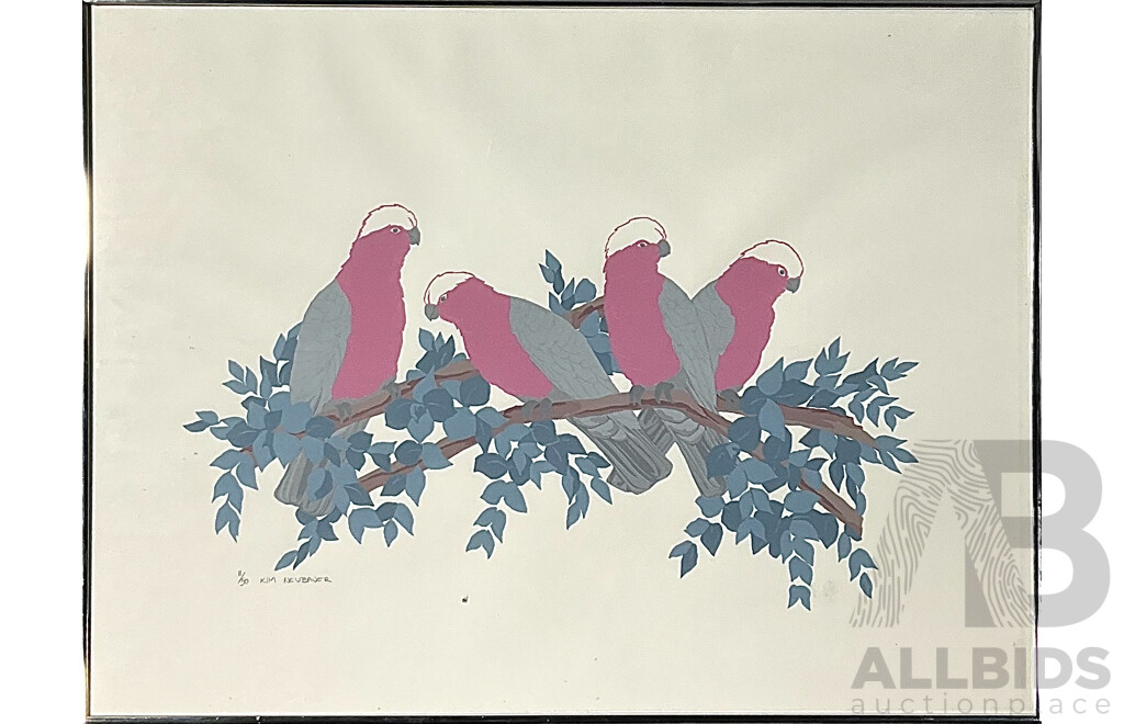 Kim Neubauer, Galahs, Screenprint