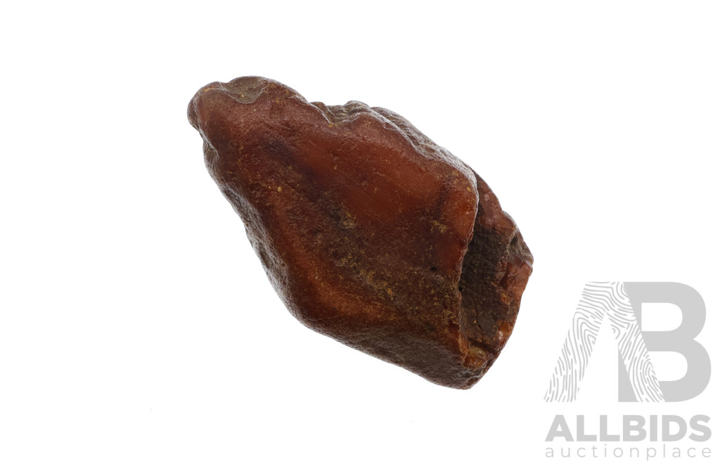 Amber Natural Large Piece Weighing 426 Grams