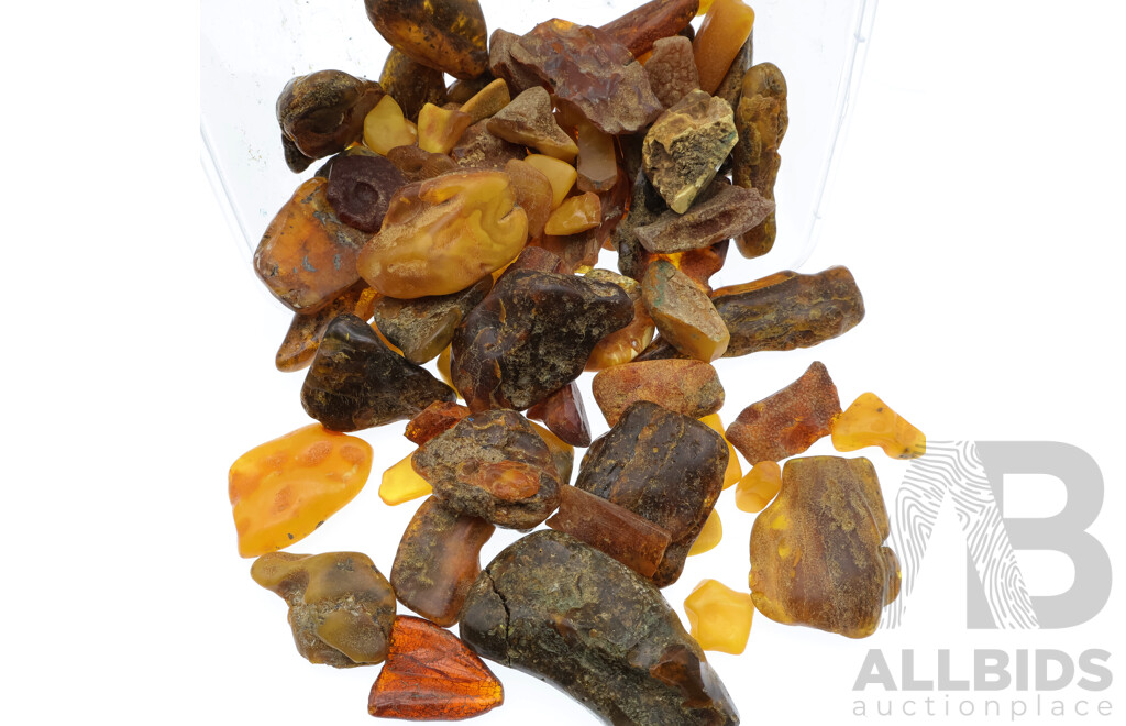 Amber Natural Pieces in Assorted Sizes and Shapes, 10mm - 75mm in Size, Total Weight 496 Grams