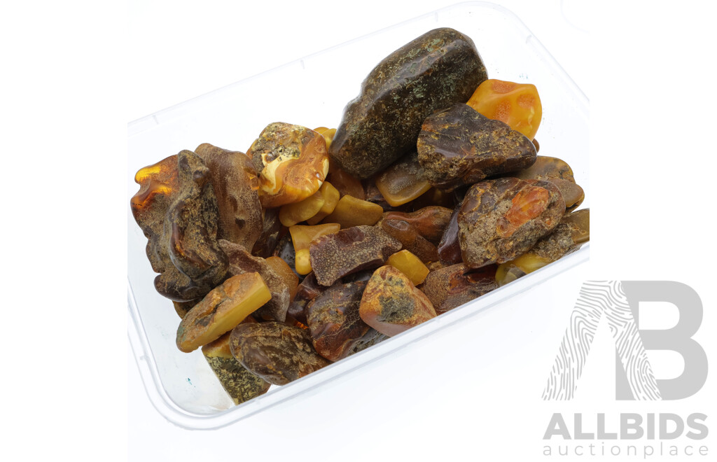 Amber Natural Pieces in Assorted Sizes and Shapes, 10mm - 75mm in Size, Total Weight 496 Grams