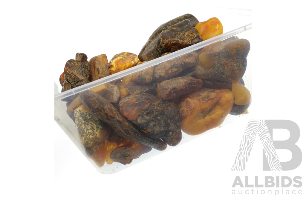 Amber Natural Pieces in Assorted Sizes and Shapes, 10mm - 75mm in Size, Total Weight 496 Grams