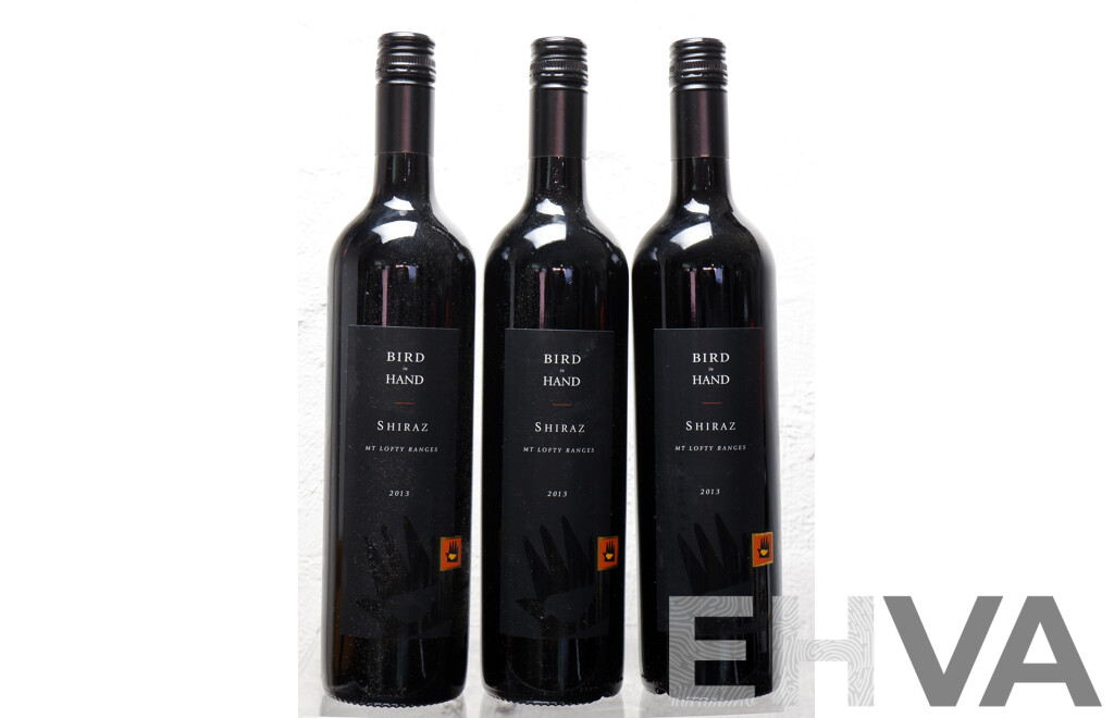 Bird in the Hand Mt Lofty Ranges Shiraz 2013 X 3