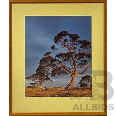Graeme Handley (Contemporary, Australian), Storm Clouds Gathering - Munyang Range, Snowy Mountains, Colour Photograph