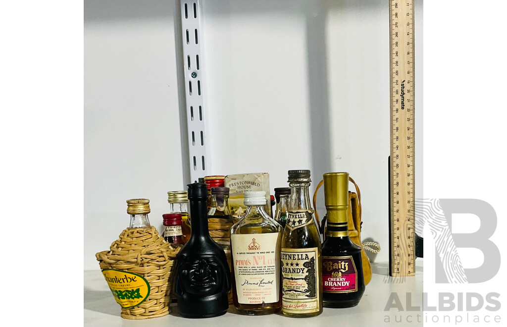 Collection of Vintage Single Serve Liqueur Bottles Including Reynella Brandy, Rocher Apricot Liqueur, Baits Cherry Brandy and Much More - Average 45ml per Bottle -i Mostly Sealed / Unopened