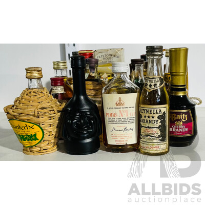 Collection of Vintage Single Serve Liqueur Bottles Including Reynella Brandy, Rocher Apricot Liqueur, Baits Cherry Brandy and Much More - Average 45ml per Bottle -i Mostly Sealed / Unopened