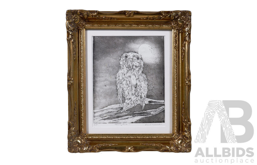 Carol Lumsden, (Canadian-Australian, 1945-), Tawny Owl, Artist's Proof, Ink Engraving, 39 x 34 cm (frame)