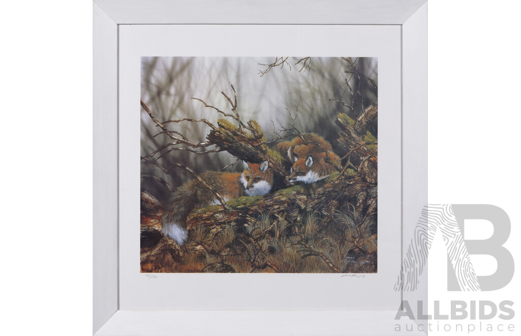 Paul Margocsy, (20th Century, Australian, 1945-), Foxes, Lithograph of Original Watercolour and Gouache, 57 x 57 cm (frame)