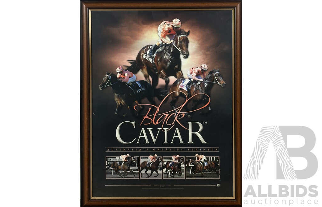 Black Caviar - Australia's Greatest Sprinter, Limited Edition 888 of 1000, Poster Print Framed, 89 X 69 Cm