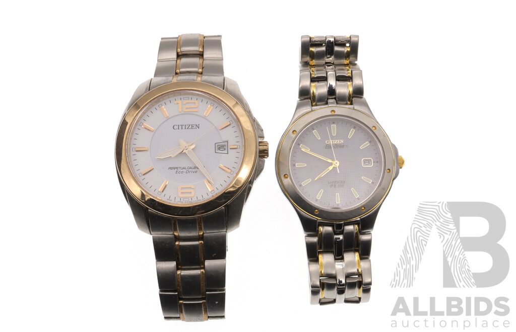 Citizen Perpetual Calendar Eco Drive Watch E764-S068673 & Citizen Eco-Drive Sapphire Watch A119-H09793TA