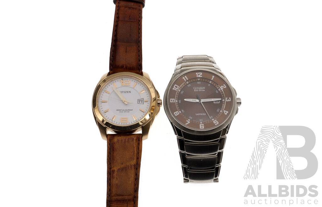 Citizen Perpetual Calendar Eco-drive Watch E764-S067804 & Citizen Eco-Drive Sapphire Watch E111-S056438