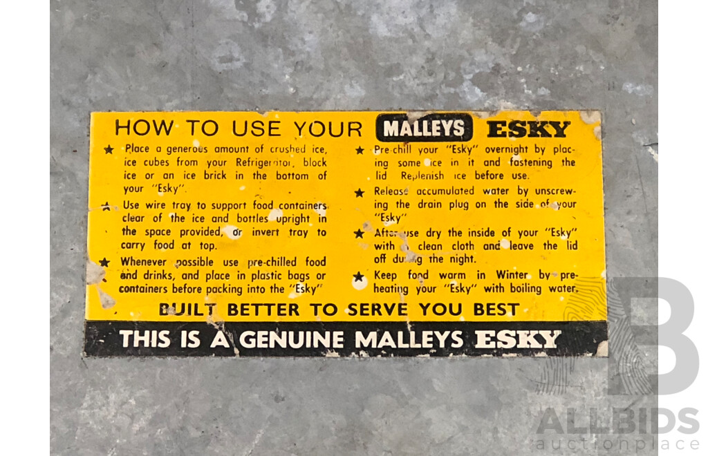 Vintage Metal Esky by Malleys and Vintage Hoover Floor Polisher