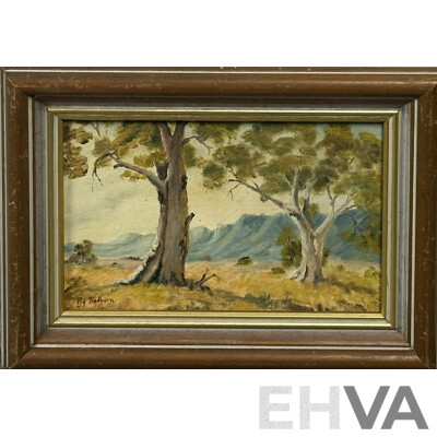 M. Carter & Peg Radburn (20th Century, Australian), Landscape - Gum Trees & Great Flinders Ranges, Lovely Pair of Oils on Canvas, 36 x 40 cm (larger frame) (2)
