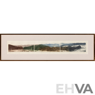 Artist Unknown, (20th Century, American), A View of the Lake, Original Vintage Limited Edition Hand Coloured Etching Tryptich, 23.5 x 82 cm (frame)