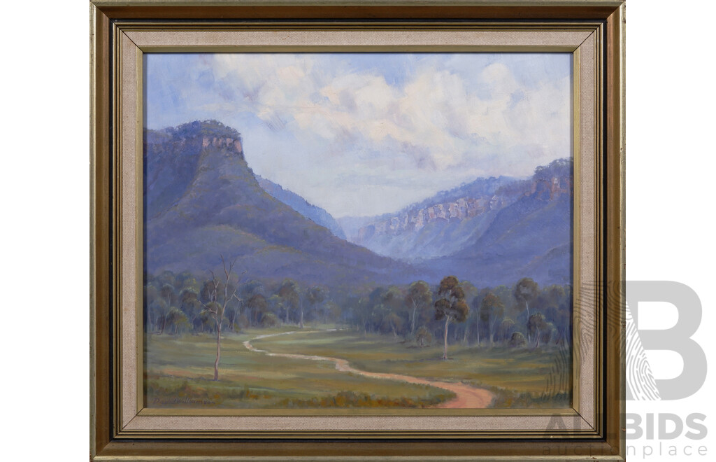 David Williamson, (20th Century, Australian), In the Megalong Valley - Blackheath, Oil on Board, 47 x 55 cm (frame)