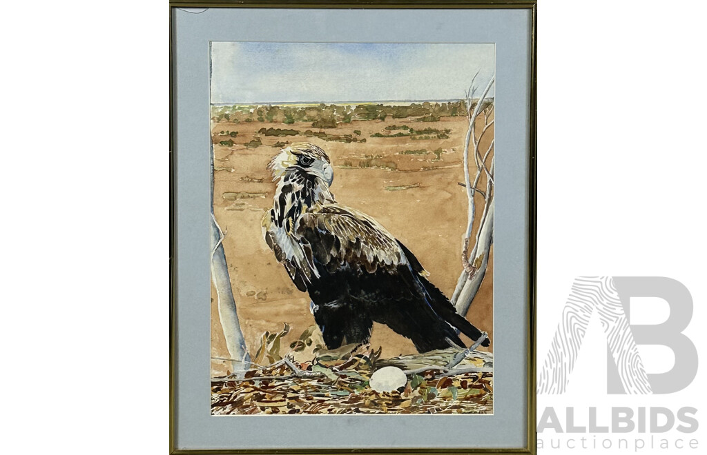 P. Geus (20th Century), Wedgetailed Eagle, Watercolour