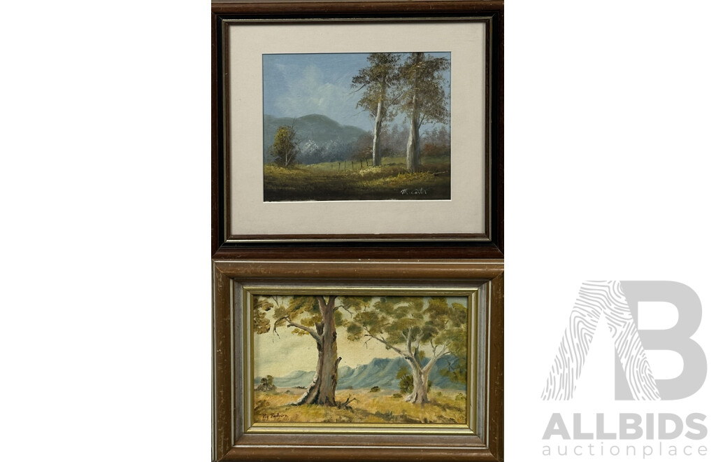 M. Carter & Peg Radburn (20th Century, Australian), Landscape - Gum Trees & Great Flinders Ranges, Lovely Pair of Oils on Canvas, 36 x 40 cm (larger frame) (2)