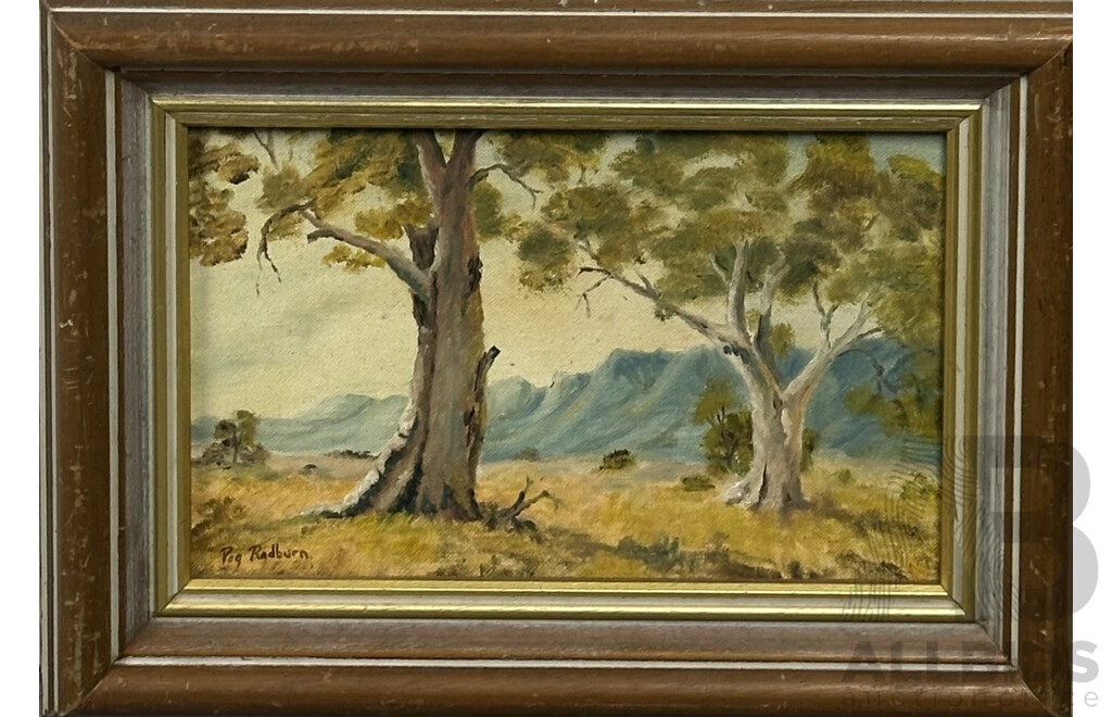 M. Carter & Peg Radburn (20th Century, Australian), Landscape - Gum Trees & Great Flinders Ranges, Lovely Pair of Oils on Canvas, 36 x 40 cm (larger frame) (2)