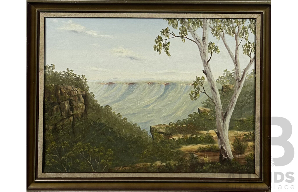 E. Hinde, (20th Century, Australian, Active c1980s), Grand Canyon, Bundanoon, NSW (1985), Oil on Canvas, 56 x 71 cm (frame)