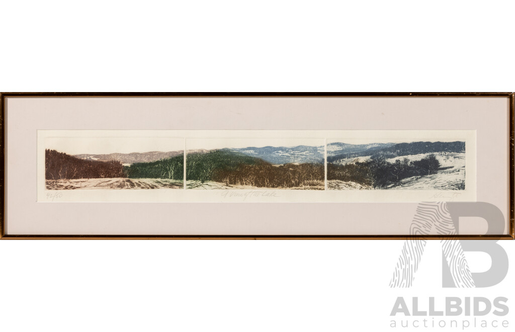 Artist Unknown, (20th Century, American), A View of the Lake, Original Vintage Limited Edition Hand Coloured Etching Tryptich, 23.5 x 82 cm (frame)