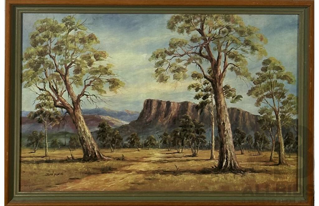 John Pinto, (20th Century, Australian, 1926-2009), Northern Territory Landscape, Oil on Canvas