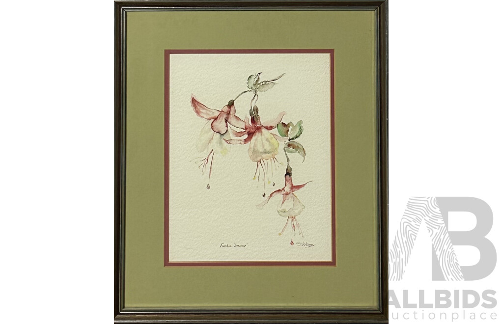 S. Adams, (20th Century), Fuschia Snowcap and Callistemon Citrinus, Pair of Watercolours, 36 x 31.5 6cm (frame) (2)