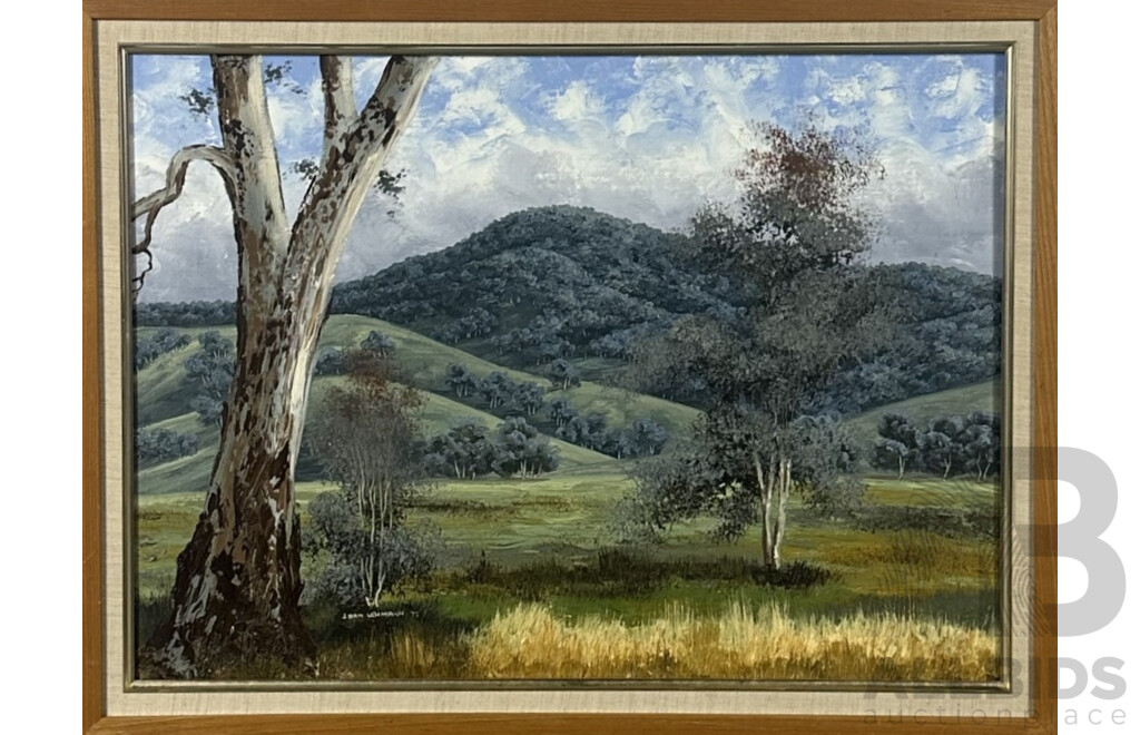 Joan Lehmann, (20th Century, Australian, Working c1970s), Scene Near Wodonga, North Eastern Victoria, Acrylic on Canvas, 59 x 79 cm (frame)