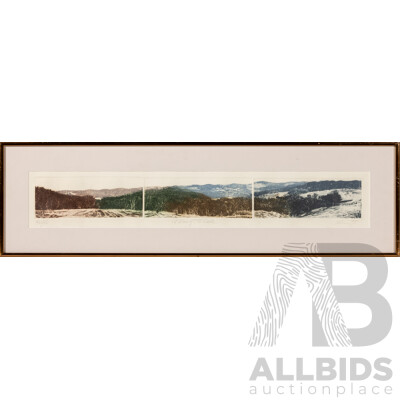 Artist Unknown, (20th Century, American), A View of the Lake, Original Vintage Limited Edition Hand Coloured Etching Tryptich, 23.5 x 82 cm (frame)