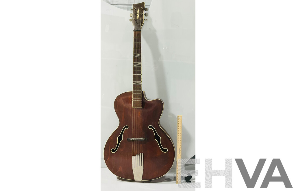 Cremona Luby Acoustic Guitar with Fabric Carrying Case