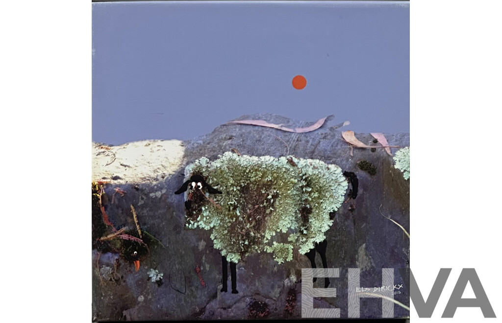 Els Dirickx, (Australian Contemporary) Shag on a Rock, Canvas Print of Original Enhanced Photograph, 2015