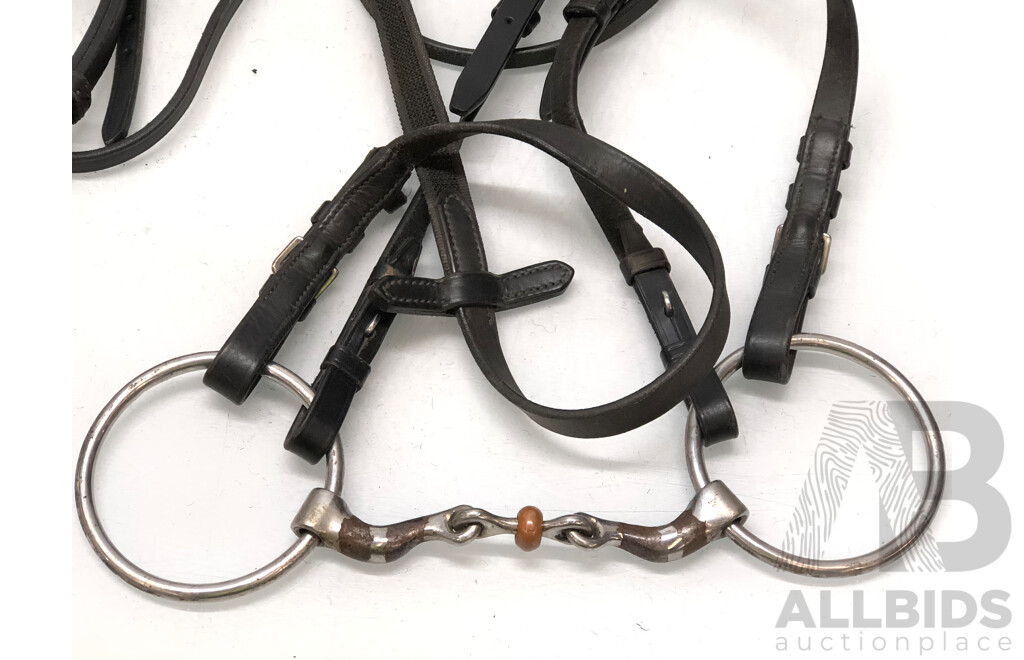 Leather Bitless Bridle, Leather Bridle with Jointed Bit with Noseband, Leather Bridle with Jointed Bit and Three Leather Straps