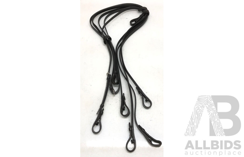 Leather Bitless Bridle, Leather Bridle with Jointed Bit with Noseband, Leather Bridle with Jointed Bit and Three Leather Straps