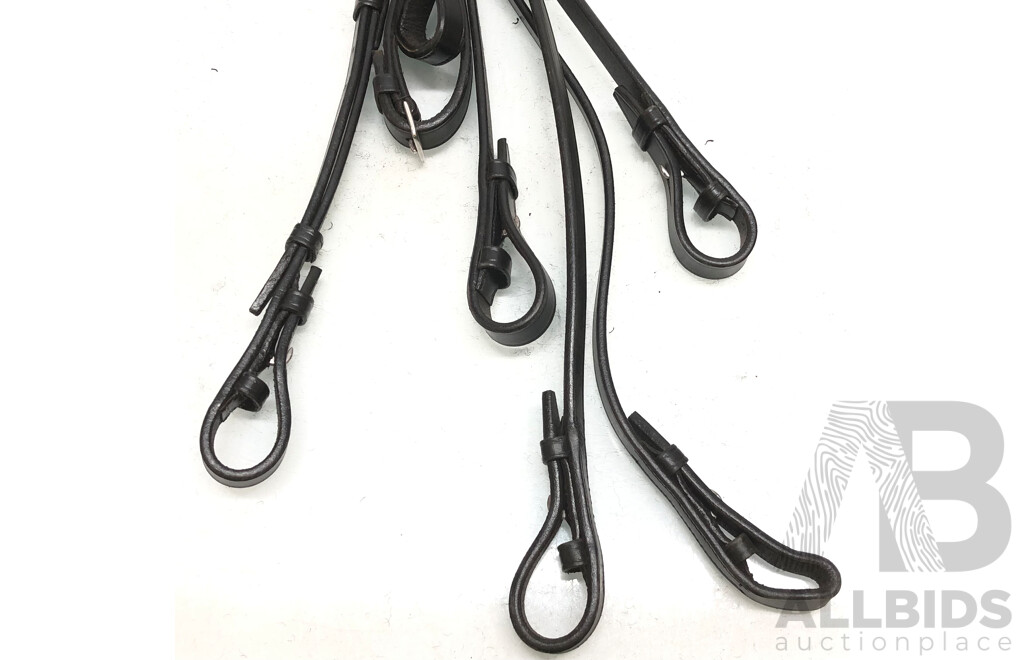 Leather Bitless Bridle, Leather Bridle with Jointed Bit with Noseband, Leather Bridle with Jointed Bit and Three Leather Straps