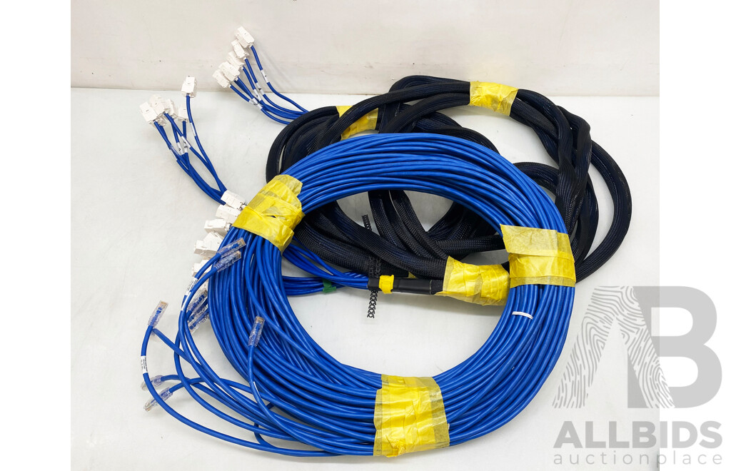 Assorted Lot of Ethernet Cables