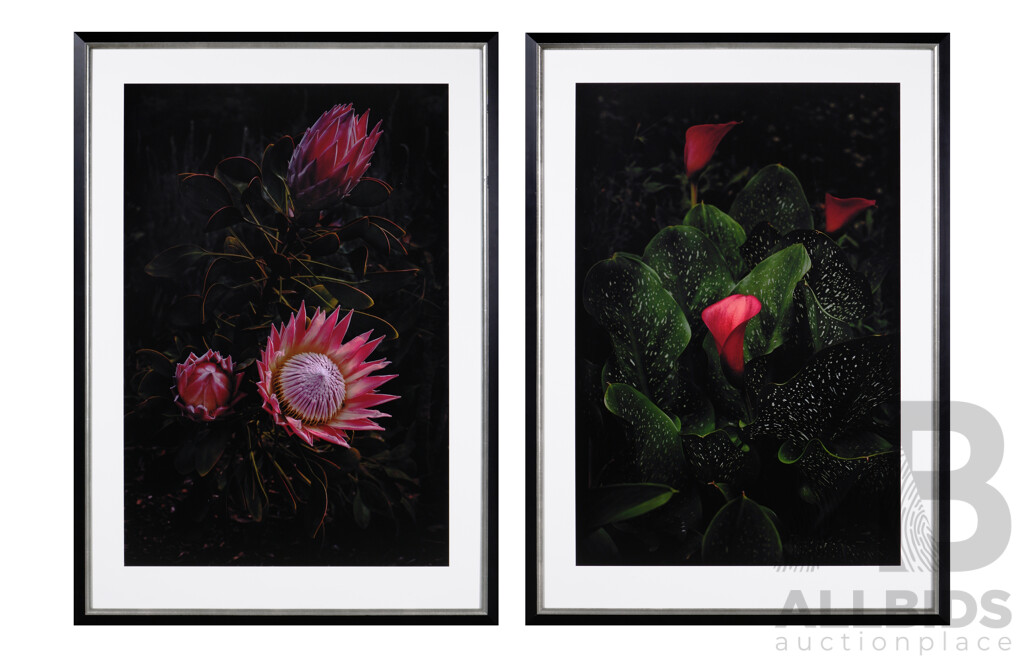 Fabrice Bigot, (20th Century, French-Australian, 1969-), Set of Two, Editioned 2 of 4, Flores Venereae #3 and Flores Venereae #7, Framed Photograph, From the Naked Garden Series (2)