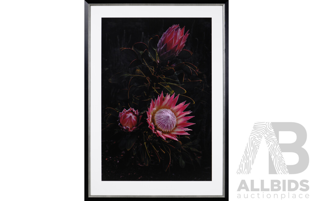 Fabrice Bigot, (20th Century, French-Australian, 1969-), Set of Two, Editioned 2 of 4, Flores Venereae #3 and Flores Venereae #7, Framed Photograph, From the Naked Garden Series (2)