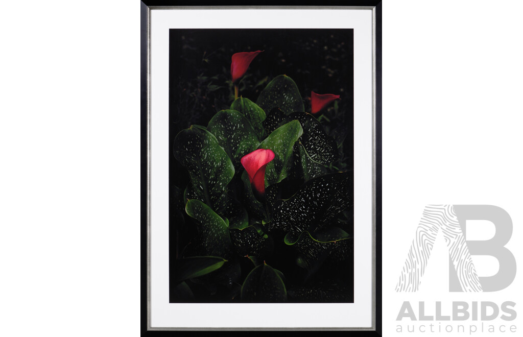 Fabrice Bigot, (20th Century, French-Australian, 1969-), Set of Two, Editioned 2 of 4, Flores Venereae #3 and Flores Venereae #7, Framed Photograph, From the Naked Garden Series (2)