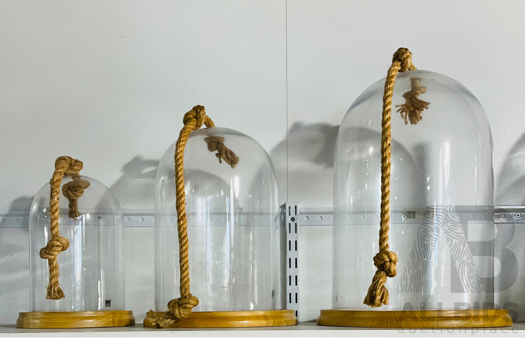 Set of Three Graduating Glass Cloche with Wooden Bases