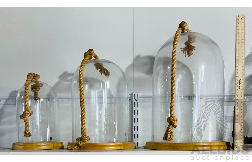 Set of Three Graduating Glass Cloche with Wooden Bases