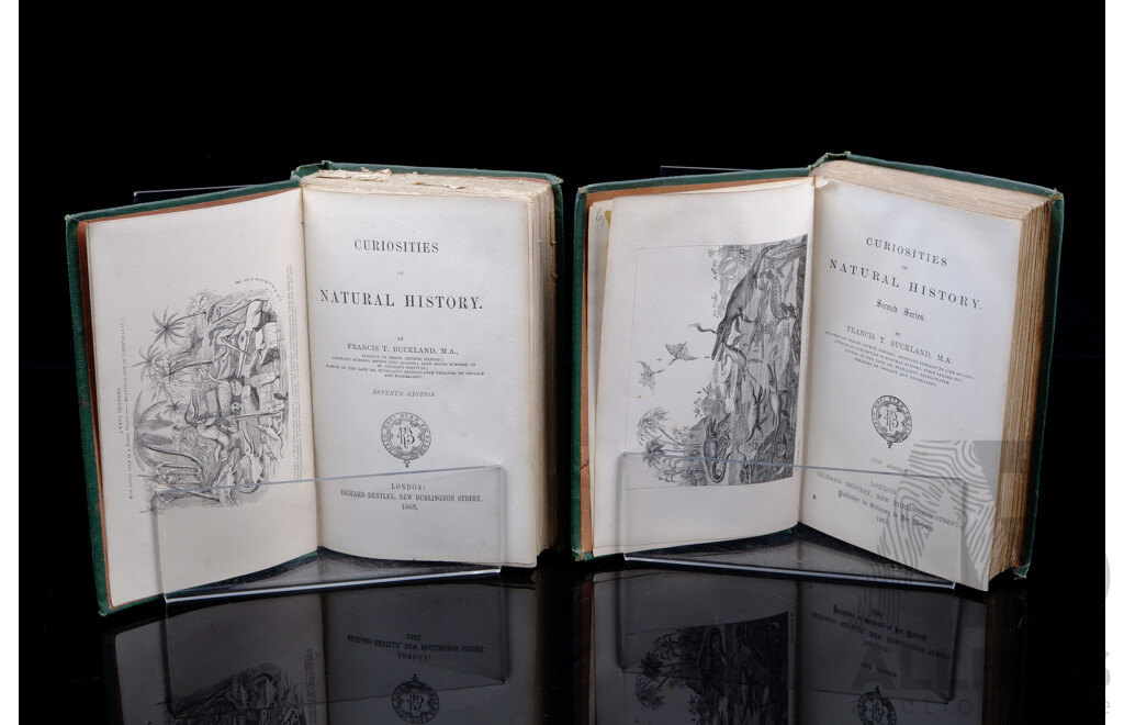 Curiosities of Natural History, F T Buckland, Richard Bentley, London, Seventh Edition 1863 & Second Series 1861, Both Embossed Hardcovers