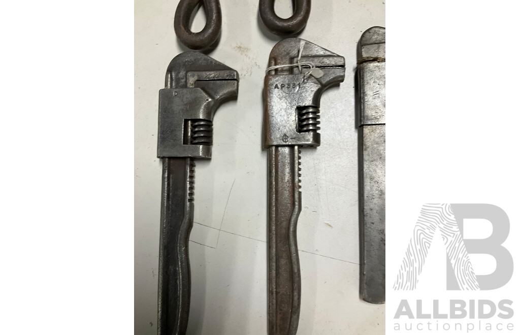 Twelve Vintage Adjustable Spanners, Crank Arm, Twist Handle Including Glading and Lhrem's