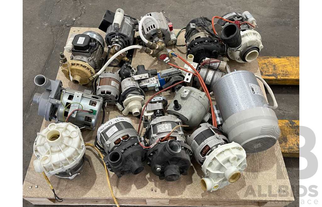 Pallet of Assorted Pumps.