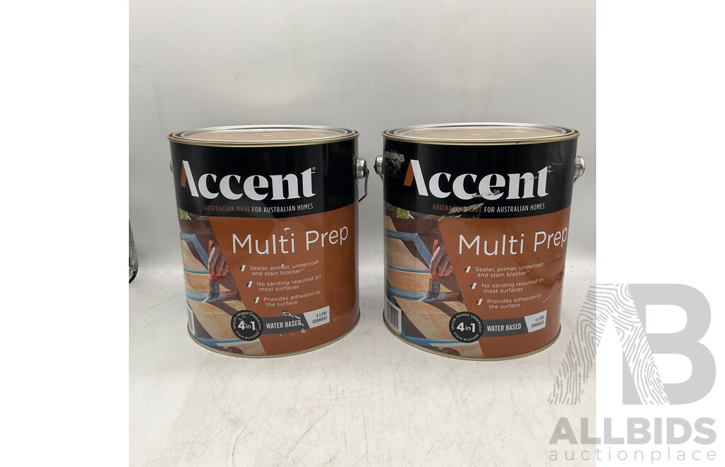 ACCENT Multi Prep Water Based 4L - Lot of 2