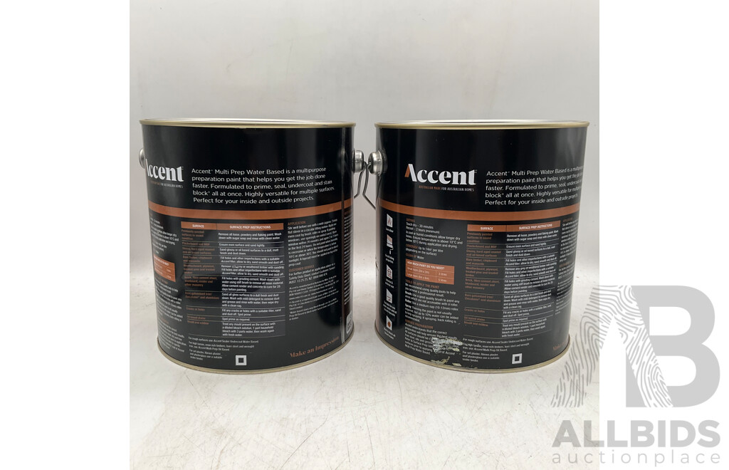 ACCENT Multi Prep Water Based 4L - Lot of 2