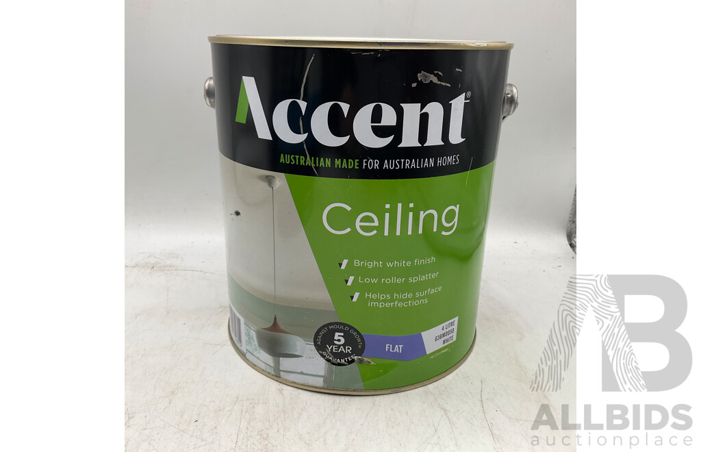 ACCENT Ceiling Flat White 4L