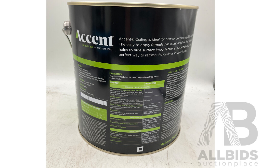 ACCENT Ceiling Flat White 4L